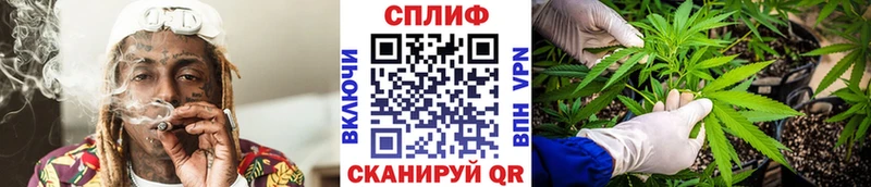 Каннабис гибрид даркнет сайт Волосово